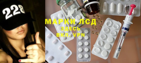 индика Вязьма