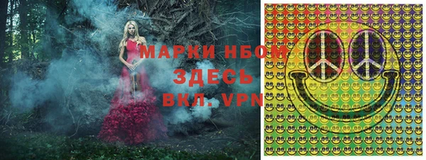 индика Вязьма