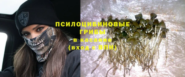 мдпв Волоколамск