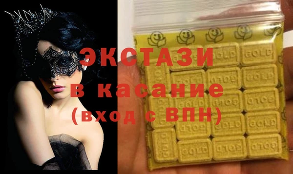 индика Вязьма