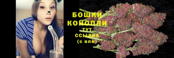 spice Володарск