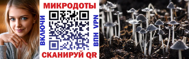 Псилоцибиновые грибы Cubensis Ишим